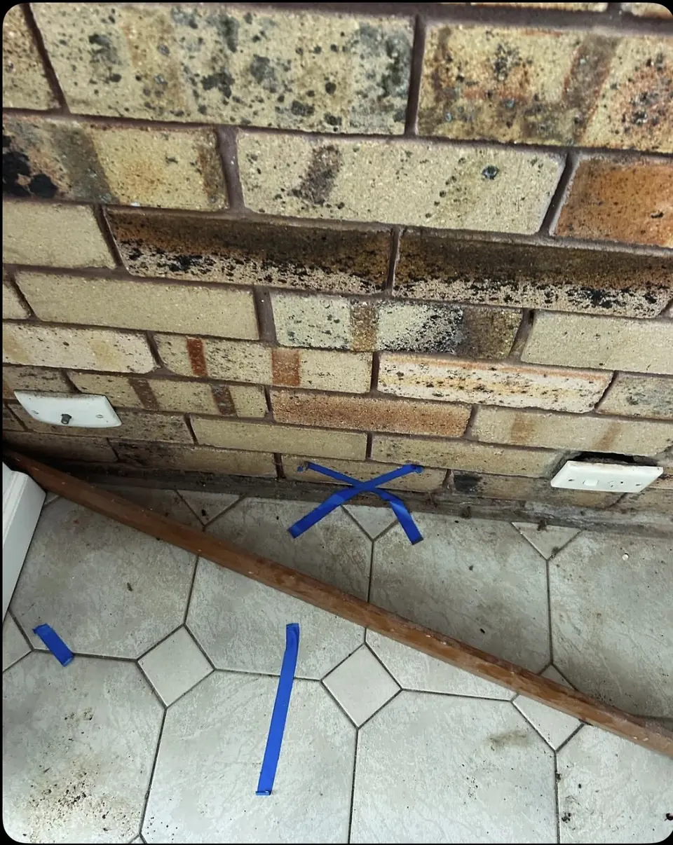 Brick wall with dark moisture staining and blue tape marks at the base